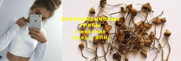 спиды Нея
