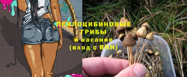 ешки Навашино