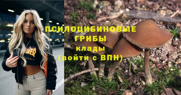 ешки Навашино